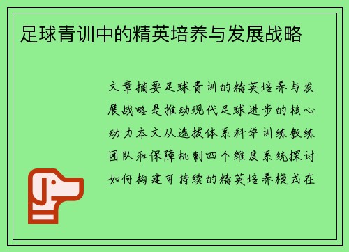 足球青训中的精英培养与发展战略